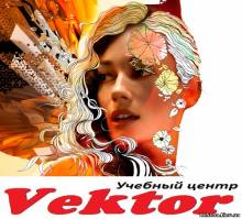 Херсон Курс Illustrator. Учебный центр «Vektor».  Обучение.
