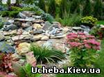 Симферополь Ландшафтный дизайн. Курсы дизайна в Симферополе